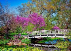 Olbrich_Gardens_Bridge111019Sharp72_2160x.jpg