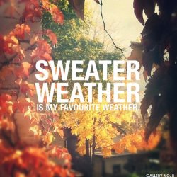 sweater.jpg