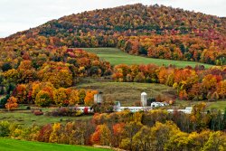 original_catskills-fall-foliage-shutterstock_506932195.jpg