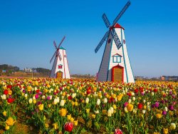 american-spring-destinations-michigan.jpg