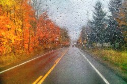 1535920-BLJIPNBY-7.jpg