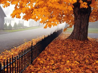 autumn-time-in-nature-wallpaper.jpg