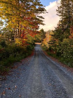 fall ns.jpg