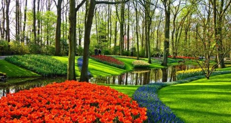 keukenhof-garden-lisse-netherlands-1-750x400.jpeg