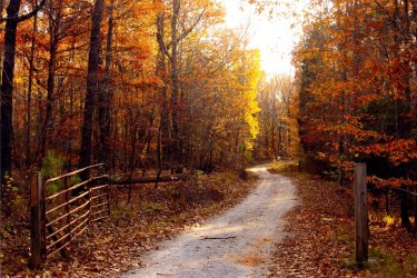 fall-photos-Alabama_Waller.jpg