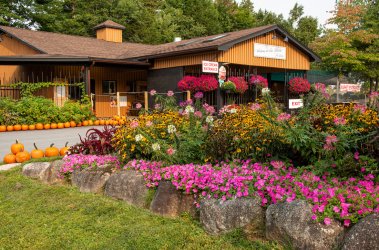 wiles-entrancegarden.jpg