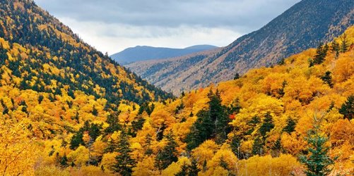 1-Whitemtns_LeafPeepingHikes_Blog.jpg