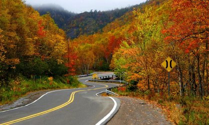 banner-small-best-fall-foliage_402x.jpg