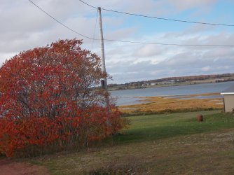 fall pei.jpg