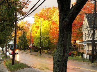 wolfville fall.jpg