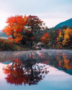 fall colors.jpg