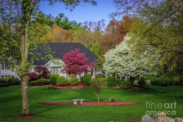 new-england-spring-claudia-m-photography.jpg