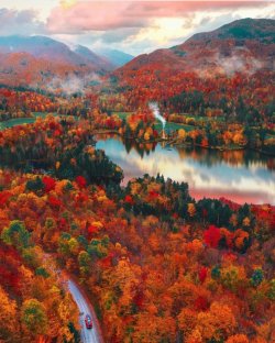 fall 5.jpg