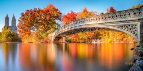 centralpark-f7d021.jpg