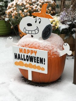 snoopysnowpumpkin.jpg