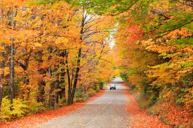Scenic-drive-in-White-mountain-national-forest-in-New-Hampshire.jpg