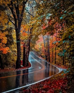 autumn pic 9.jpg
