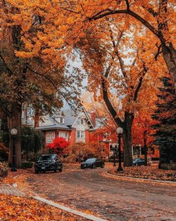 fall street.jpg