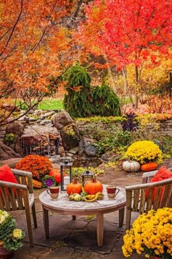 fall decorations.jpg