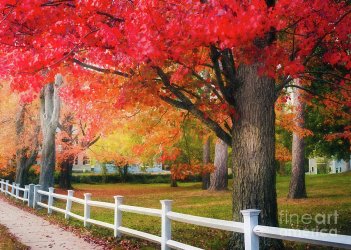 the-beauty-of-autumn-anita-pollak.jpg