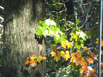DSCF9577.JPG