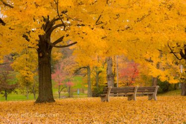 c23-fall-color.jpg