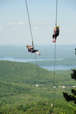 gunstock21@2x.jpg