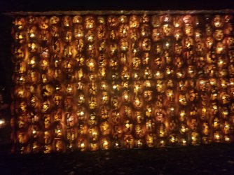 20201025_204734.jpg