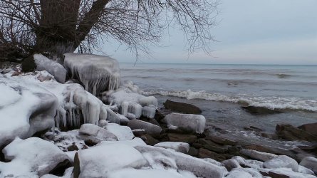 sea in winter.jpg