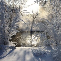 frost.jpg