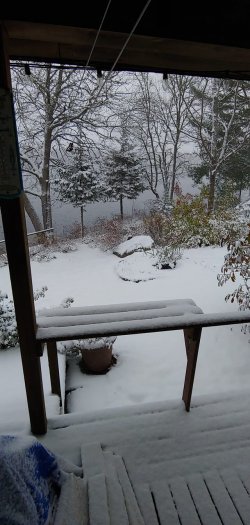 snow on hlfx lake.jpg