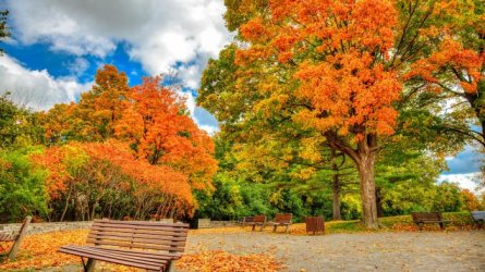 bench-in-autumn-park-wallpaper-745_L.jpg