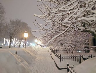 Boston_2015_winter_landscape_large.jpg