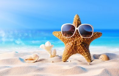 beach-summer-vacation-sand-starfish-seashells-sunglasses-mor.jpg
