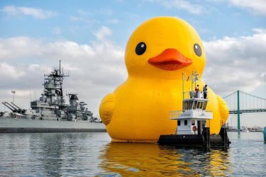 Worlds-Largest-Rubber-Duck.jpg