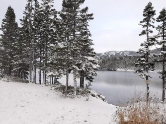 nl winter.jpg