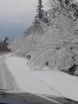 ns road.jpg