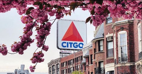 spring_blooms_boston.jpg