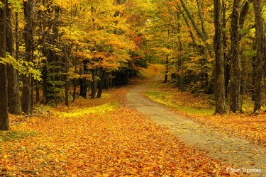 classic-fall-color-photo-tips.jpg