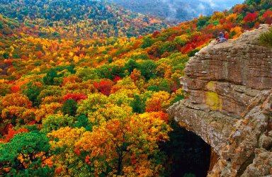 OzarkMountainsFoliage.jpg