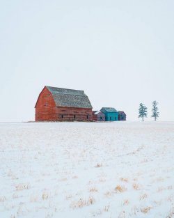 peaceful winter.jpg