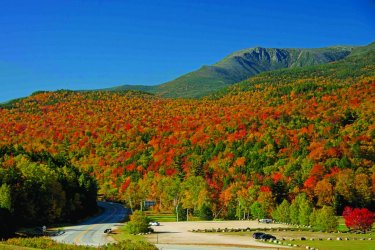 Fall-Foliage_54_990x660.jpg