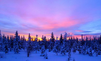 content_c6-Image-by-Jeanne_-of-JLS-Photography---Alaska.-Snowy-sunrise.jpg
