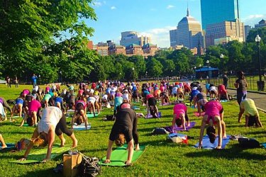 free-fitness-2019.jpg