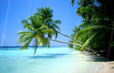 SummerBeach1.jpg