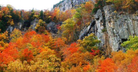 fall-foliage-crawford-notch-new-hampshire.jpg