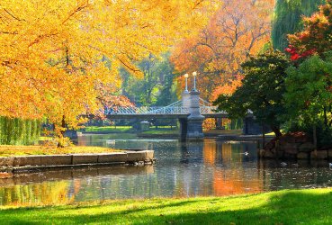 boston-commmon-.jpg