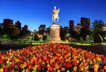 springtime-in-boston-denis-tangney-jr.jpg