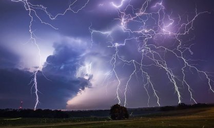 WildweatherNoText.jpg