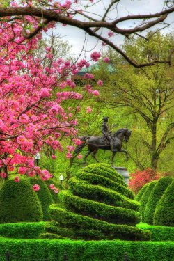 george-washing-monument-boston-public-garden-in-spring-joann-vitali.jpg
